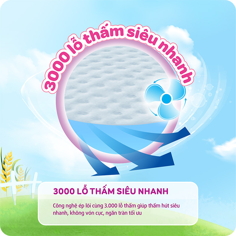 3000 lỗ thấm